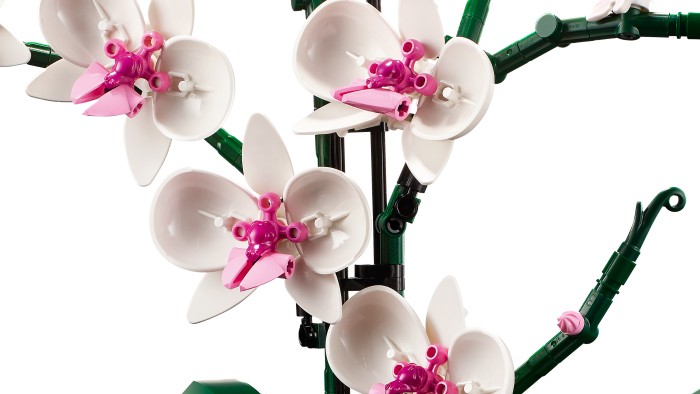 Bild von LEGO Creator Expert - Orchidee (10311)