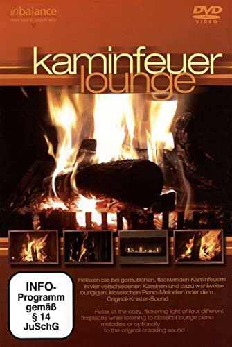 Ambience: Kaminfeuer (DVD)