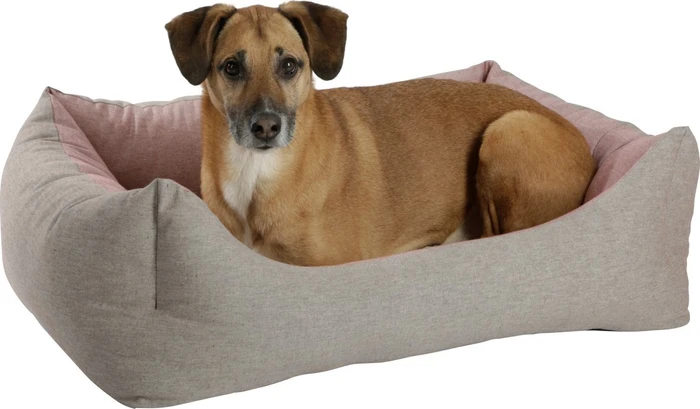 Kerbl Pet Kuschelbett LOVE YOU – Hundebett Beige, 47x37x17 Cm, Für Kleine Hunde