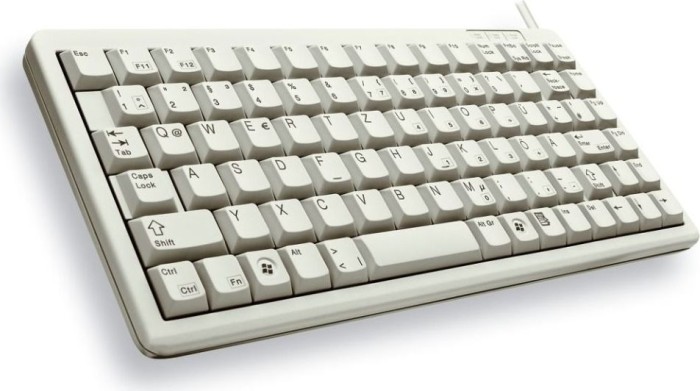 Cherry G84-4100 Compact-keyboard jasnoszary, Cherry ML, PS/2 & USB, UE
