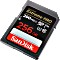 SanDisk Extreme PRO R200/W140 SDXC 256GB, UHS-I U3, Class 10 Vorschaubild