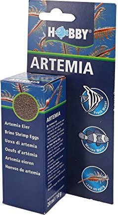 Hobby Artemia Eier - Artemia-Eier zum Herstellen von Lebendfutter, 20ml