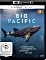 Big Pacific (4K Ultra HD)