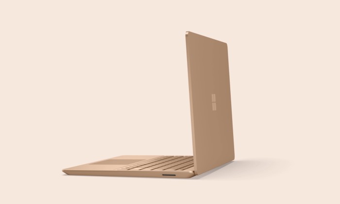 Microsoft Surface heise 8GB € RAM, | Go Laptop 256GB Preisvergleich Platin, (8QF-00027) online i5-1135G7, Deutschland SSD, DE 2 ab Core (2024) 649,00