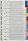 Leitz rejestr kolorowy Blanko A4 (43210000)