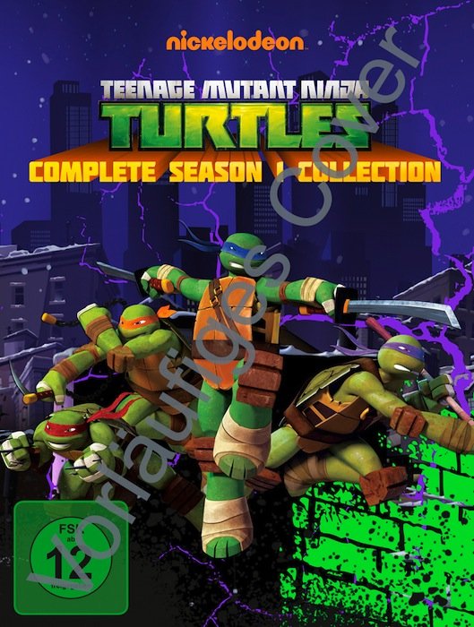 Teenage Mutant Ninja Turtles Season 1 (DVD)