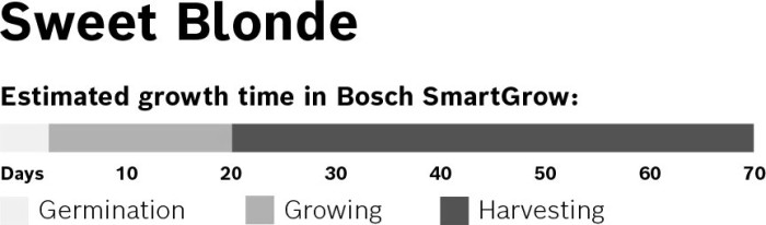 Bosch MSGZS007 SmartGrow Samenkapseln Gartensalat
