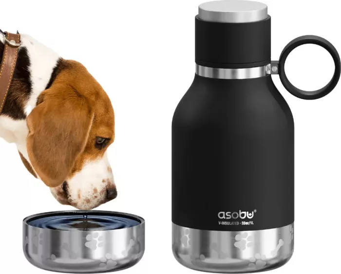 Asobu – Dog Bowl – recycelte Edelstahlflasche mit Hundenapf Silber