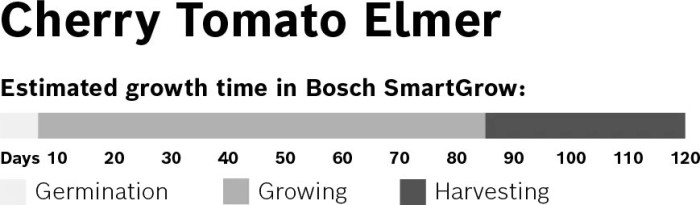 Bosch MSGZV002 SmartGrow Samenkapseln Cocktailtomate "Elmer"