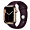Apple Watch Series 7 (GPS + Cellular) 45mm Edelstahl gold mit Sportarmband Dunkelkirsch (MKJX3FD)