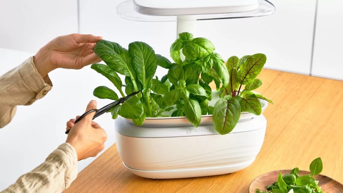 Bosch Smart Indoor Gardening SmartGrow Life MSGP3L Pflanzkasten
