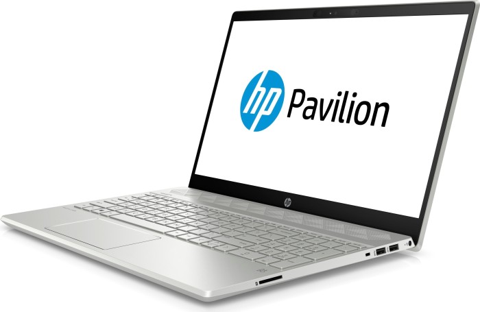 HP Pavilion 15-cw0401ng Mineral Silver/Natural Silver, Ryzen 3 2300U, 8GB RAM, 256GB SSD, DE