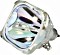 Alda Premium Serie Beamerlampe (47530)