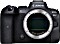 Canon EOS R6 Vorschaubild