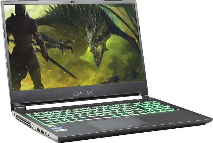 Captiva Advanced Gaming I65-900, Core i5-11400H, 16GB RAM, 500GB SSD, GeForce GTX 1650, DE