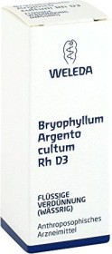 Weleda Bryophyllum Argento cultum RH D3 Dilution, 20ml