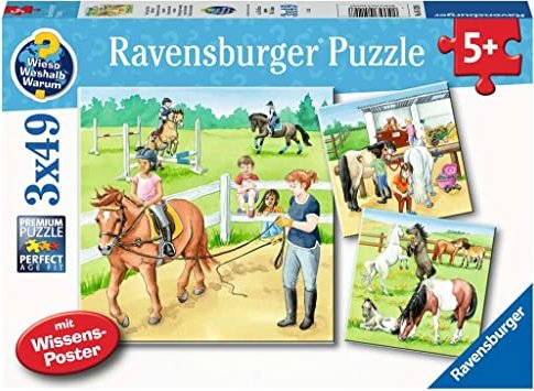Ravensburger WWW – Ein Tag auf dem Reiterhof – Puzzlespiel – 49 Stück(e) – Tiere – Kinder & Erwachsene – 5 Jahr(e) (05129)