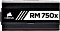 Corsair RMx Series 2018 RM750x 750W ATX 2.4 Vorschaubild