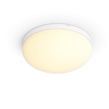Philips Hue White and Color Ambiance Flourish
