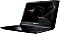 Acer Predator Helios 300 PH317-52-78BR schwarz, Core i7-8750H, 16GB RAM, 256GB SSD, 1TB HDD, GeForce GTX 1060, DE Vorschaubild