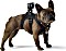 GoPro Accessories Fetch dog harness - suitable for HERO4/HERO3+/HERO3/HD HERO2