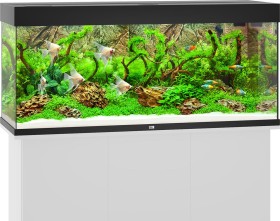 Juwel Rio 240 LED Aquarium-Set ohne Unterschrank, grau, 240l