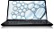 Fujitsu Lifebook U9311 schwarz, Core i5-1135G7, 16GB RAM, 512GB SSD, LTE, DE (VFY:U9311MF5AMDE)