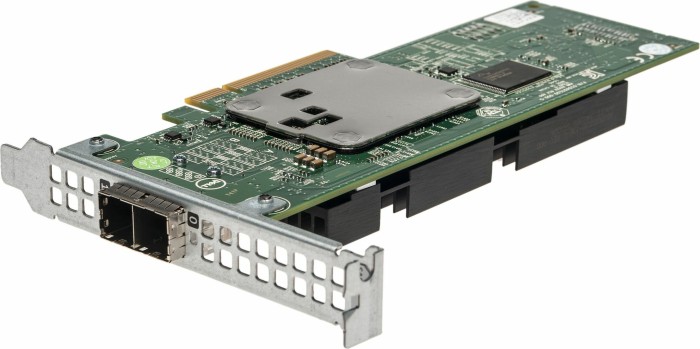Dell SAS 12Gbps Host Bus Adapter, PCIe 3.0 x8