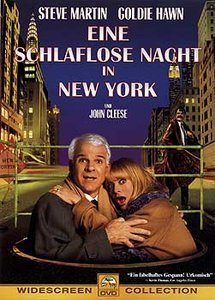 Eine schlaflose Nacht in New York (DVD)