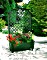 KHW Calypso Pflanzkasten mit Spalier 79cm grün