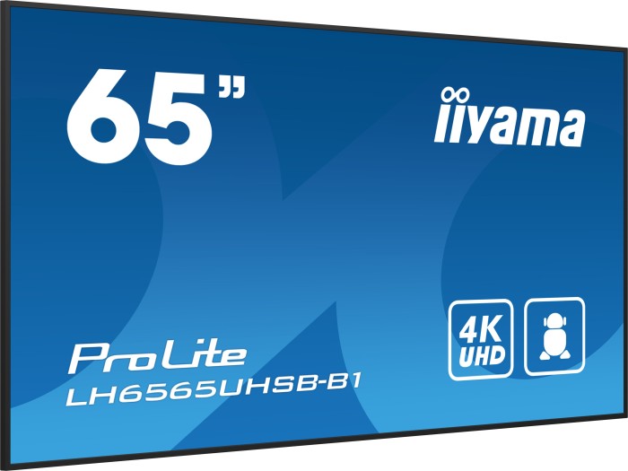 iiyama ProLite LH6565UHSB-B1, 64.5"