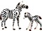 playmobil Wild Life - Zebra mit Fohlen (7898)