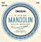 D'Addario Mandolin 80/20 br&#261;z Light (EJ62)