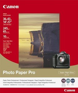 Canon PR-101 Pro Fotopapier hochglänzend weiß, 10x15cm, 245g/m², 10 Blatt