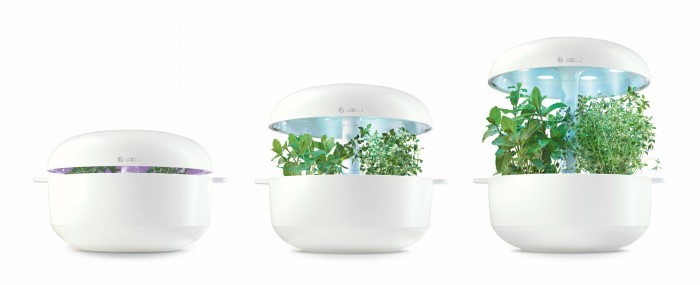 Bosch Smart Indoor Gardening SmartGrow 6 MSGP6 Pflanzkasten