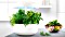 Bosch Smart Indoor Gardening SmartGrow 6 MSGP6 Pflanzkasten Vorschaubild