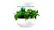 Bosch Smart Indoor Gardening SmartGrow 6 MSGP6 Pflanzkasten Vorschaubild