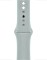 Apple Sportarmband Regular für Apple Watch 41mm agavengrün (MP723ZM/A)