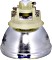 Optoma SP.7G901GC01 Ersatzlampe