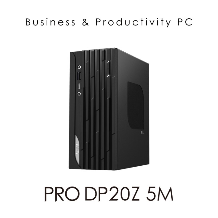 MSI PRO DP20Z 5M-003, Ryzen 5 5600G, 8GB RAM, 256GB SSD