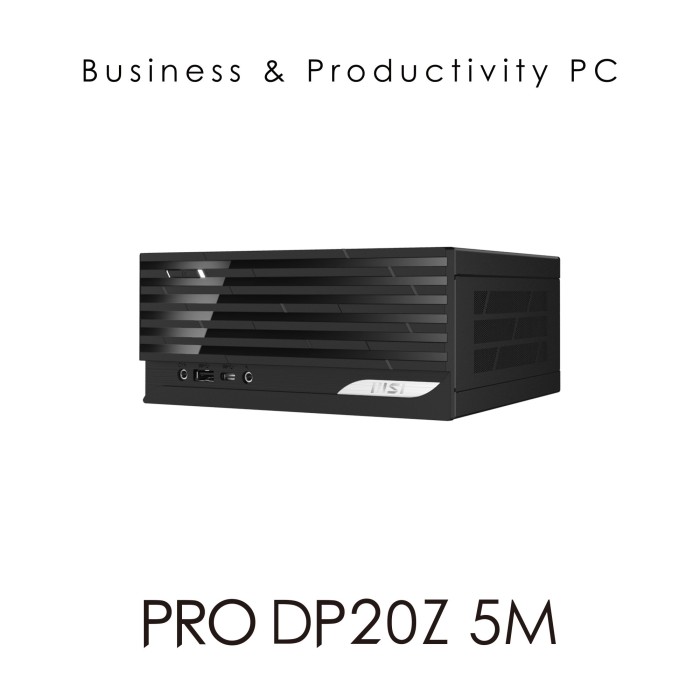 MSI PRO DP20Z 5M-003, Ryzen 5 5600G, 8GB RAM, 256GB SSD