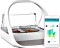 Sure Petcare SureFeed Connect Microchip PetFeeder Futterautomat, WLAN, App-Steuerung (iMPFWT)