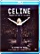 Celine Dion - Through The Eyes Of The World (Blu-ray)