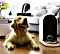 DOGNESS Smart-Cam Feeder automat karmiący do Katzen i psy, WLAN, kamera HD z noktowizor, sterowanie z aplikacji, pomarańczowy/niebieski Vorschaubild