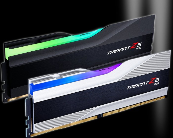 G.Skill Trident Z5 RGB silber DIMM Kit 32GB, DDR5-6400, CL32-39-39-102, on-die ECC