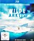 Wilde Arktis (Blu-ray)