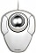 Kensington Orbit Scroll Ring Trackball weiß, USB (K72500WW)