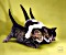 Speedlink SILK Mousepad Cats (SL-6242-P02)