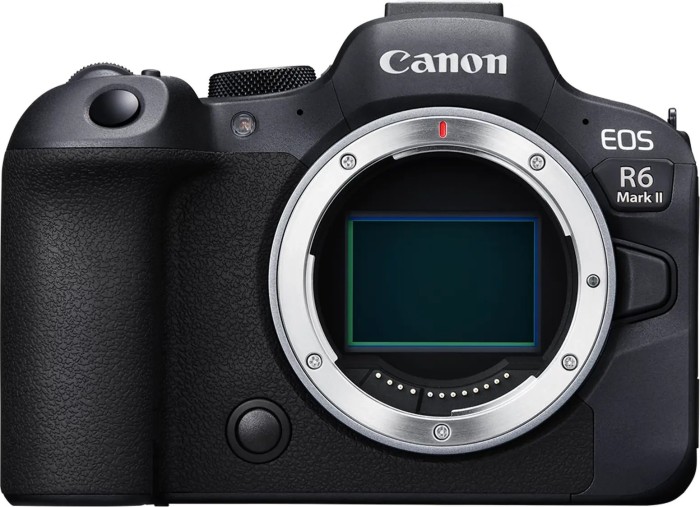 Canon EOS R6 Mark II Body (5666C004)