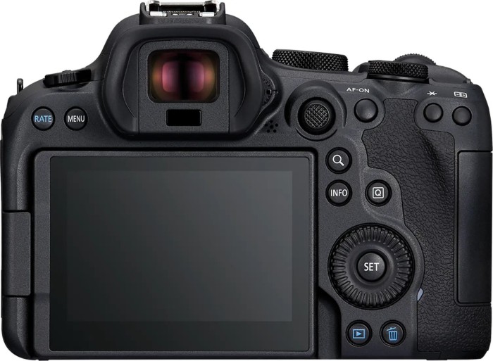 Canon EOS R6 Mark II z obiektywem RF 24-105mm 4.0-7.1 IS STM